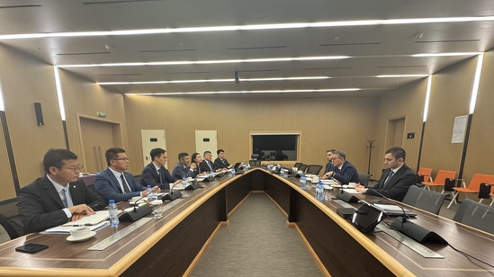 杨天福与国家石油公司副总裁阿夫甘·伊萨耶夫 会谈.jpg